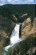 Yellowstone 